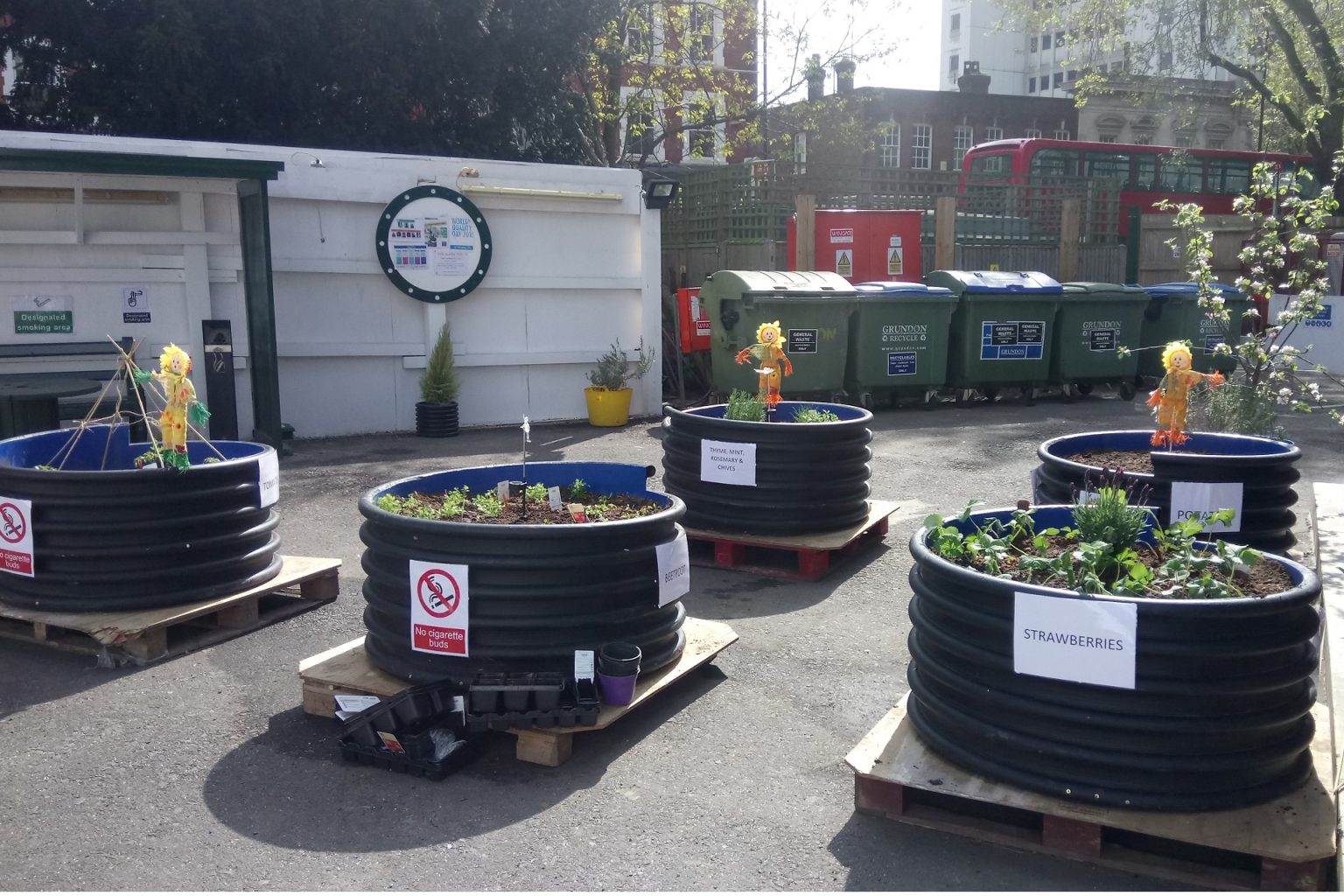 Vegetable planters made from plastic drainage pipes and wood pallets