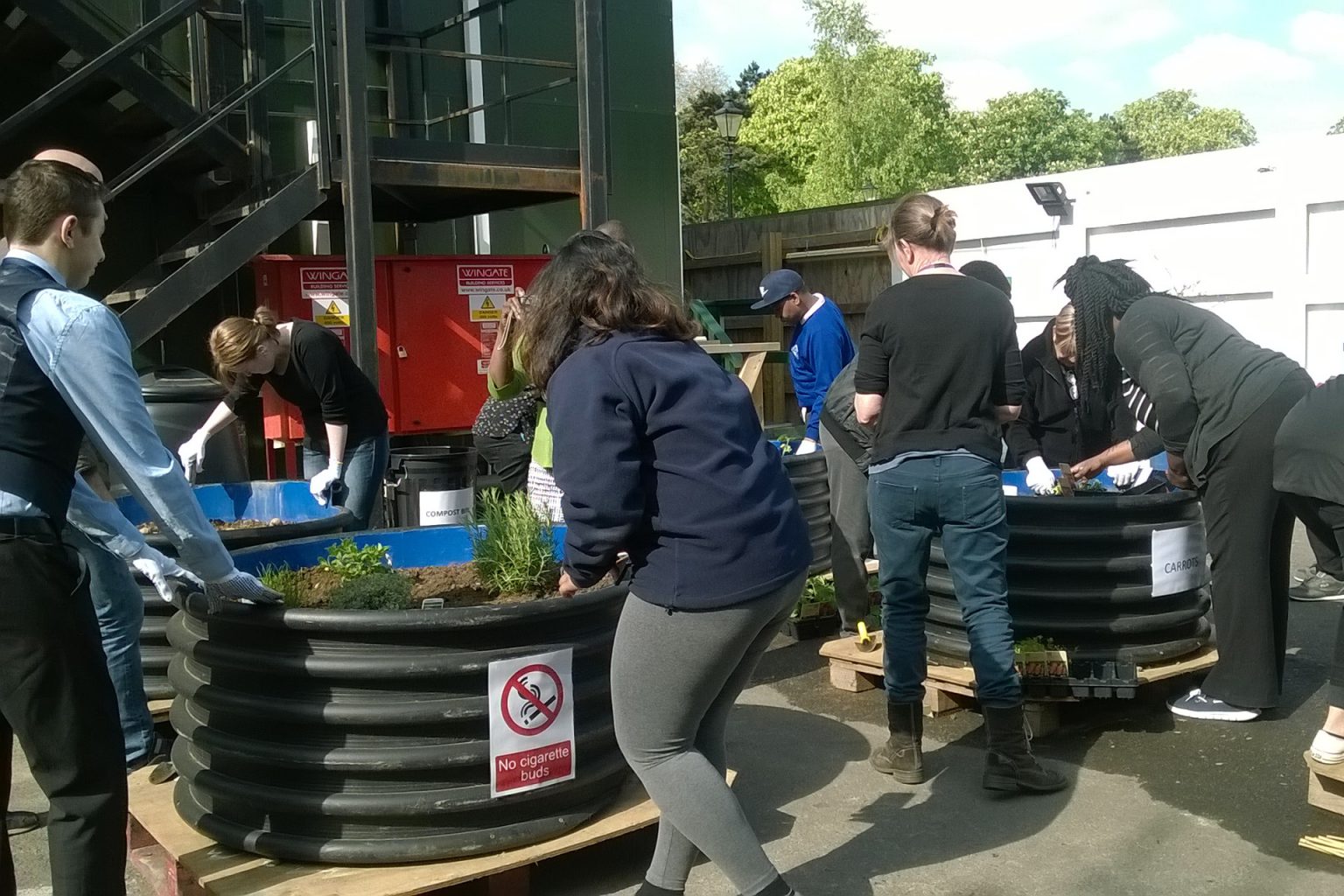 Children from SpringHallow school planting vegetables